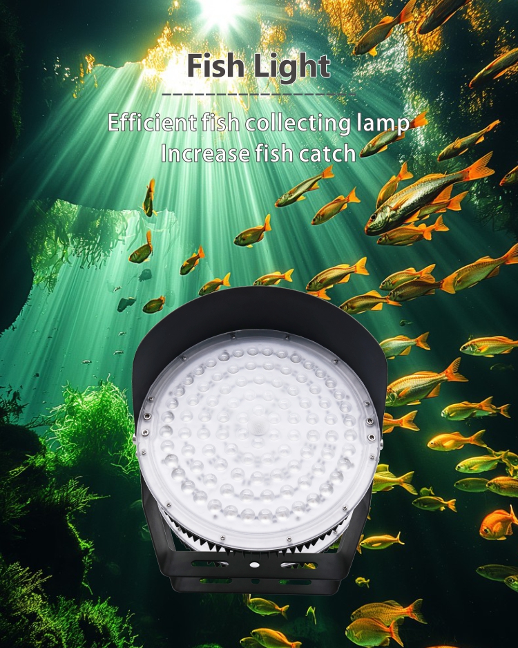 marine flood lights