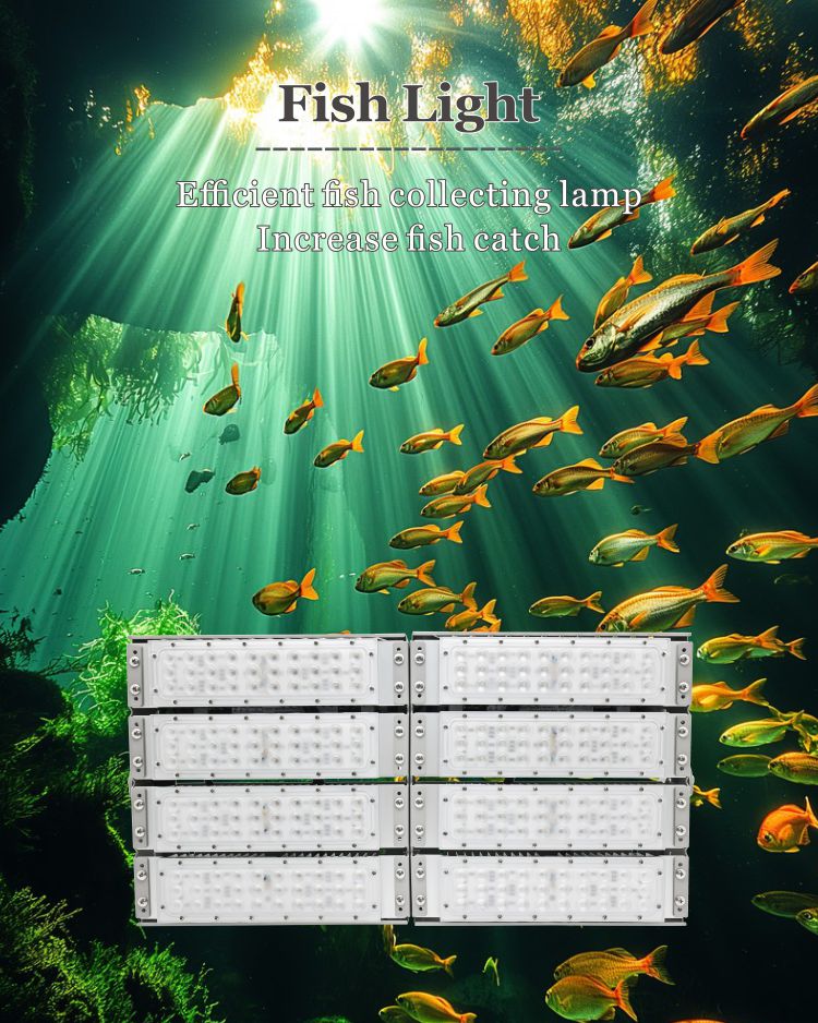 marine flood lights